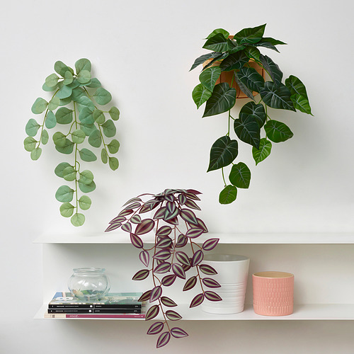 FEJKA artificial plant with wall holder