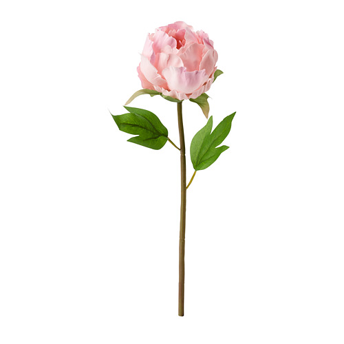 SMYCKA - artificial flower, Peony/pink | IKEA Taiwan Online - PE685428_S4