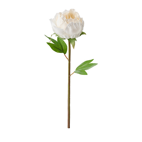 SMYCKA - 人造花, 牡丹/白色 | IKEA 線上購物 - PE685423_S4