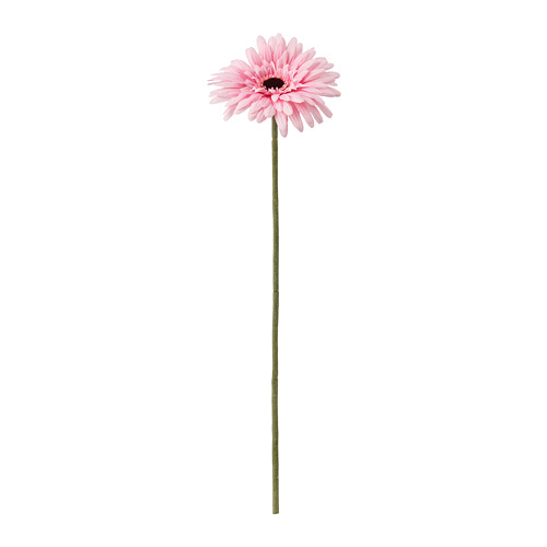 SMYCKA - 人造花, 波斯菊/粉紅色 | IKEA 線上購物 - PE685466_S4