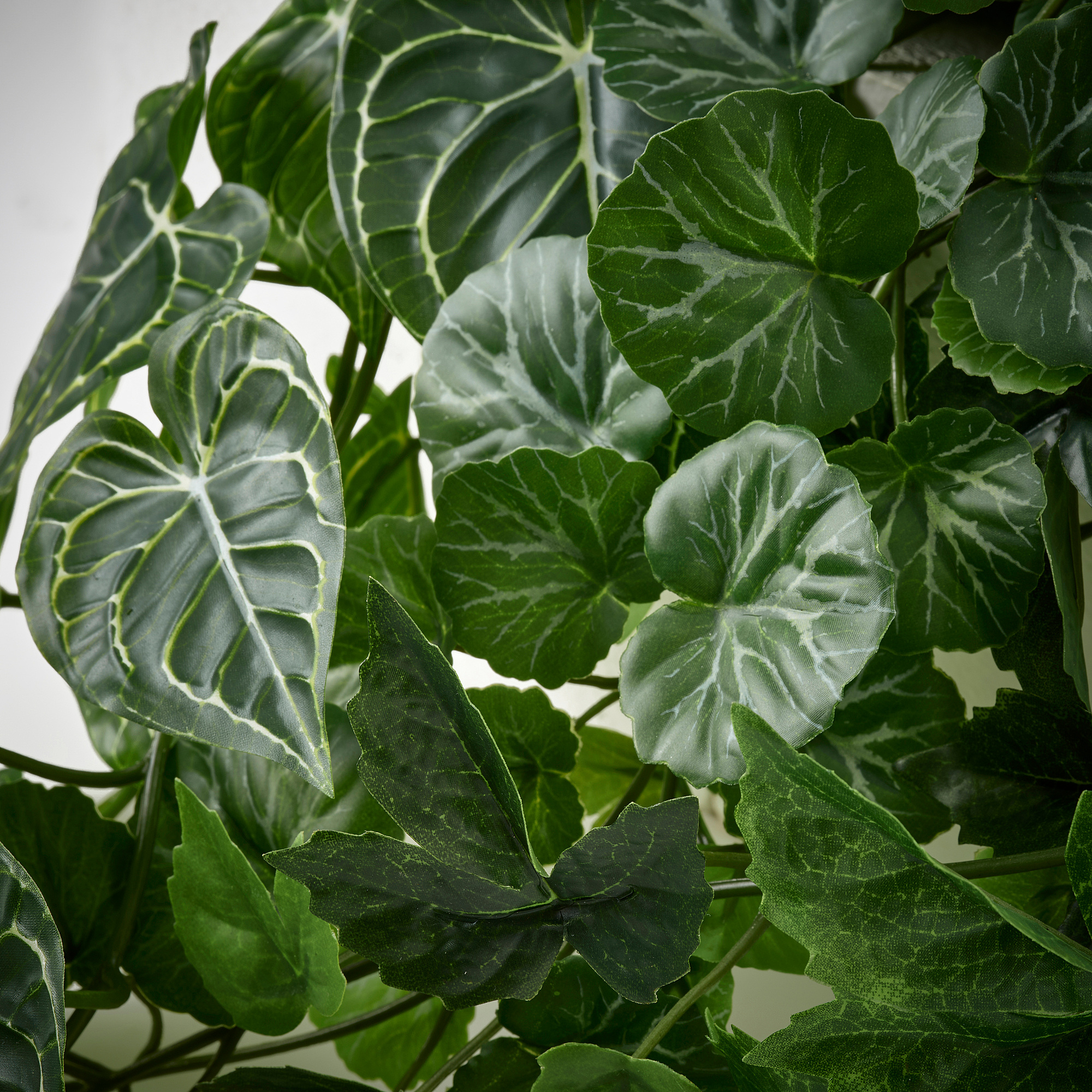FEJKA 人造植物 3件組