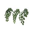 FEJKA 人造植物 3件組