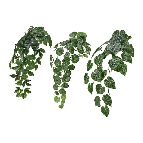 FEJKA - 人造植物 3件組，附牆壁掛架/室內/戶外用 綠色 | IKEA 線上購物 - E1010304_S4