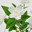 SMYCKA artificial flower