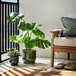 HONUNGSPALM plant pot