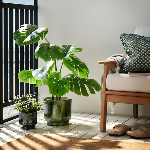 HONUNGSPALM plant pot
