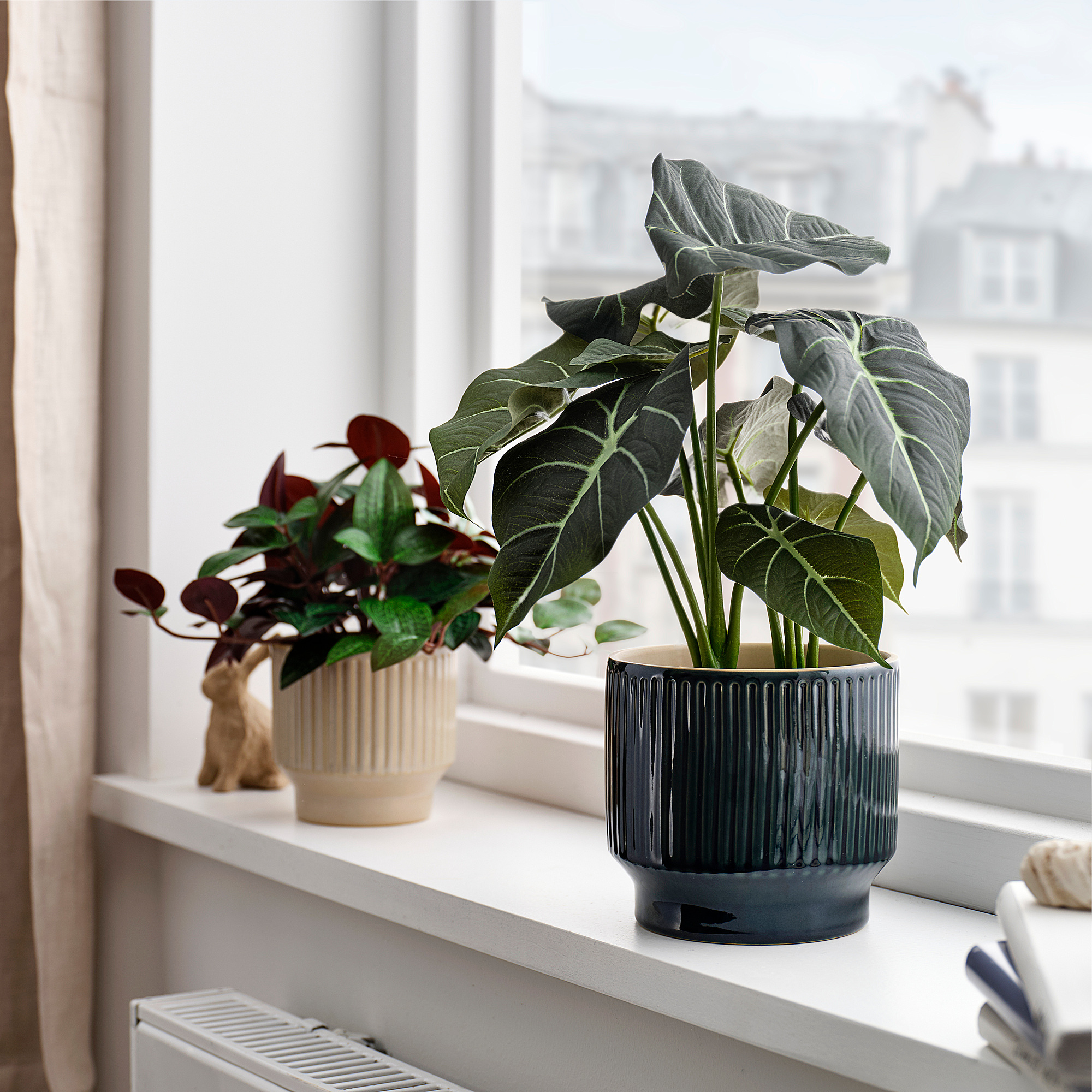 HONUNGSPALM plant pot