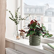 HASSELBUKETT plant pot