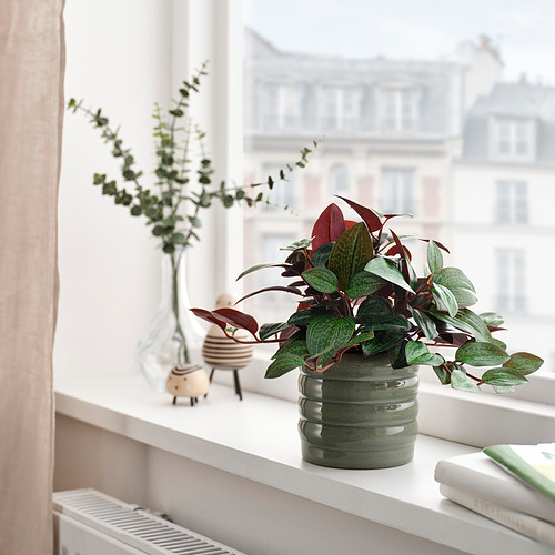 HASSELBUKETT plant pot