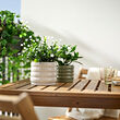HASSELBUKETT plant pot