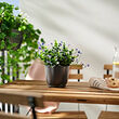 BROKTRAST plant pot