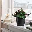 BROKTRAST plant pot