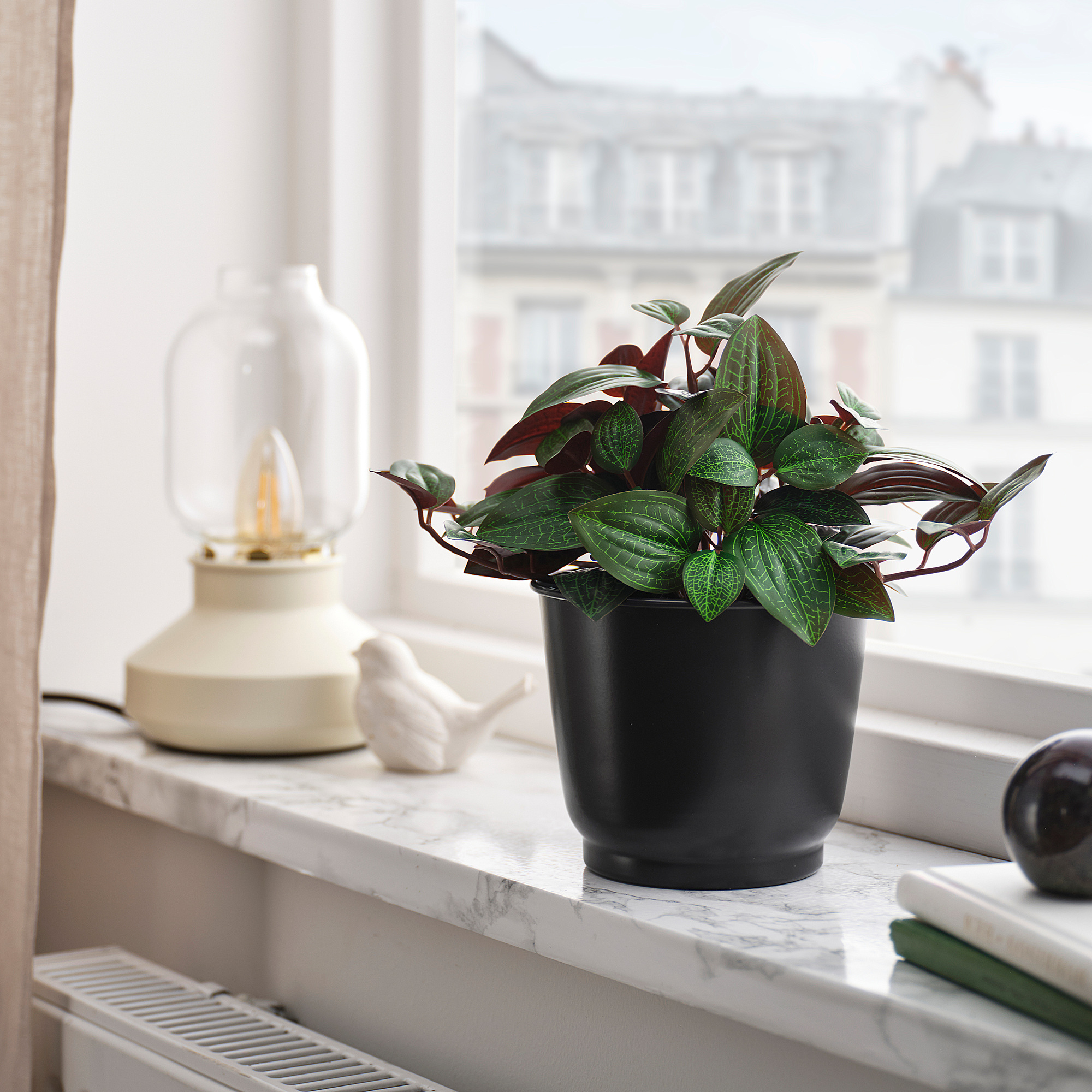 BROKTRAST plant pot