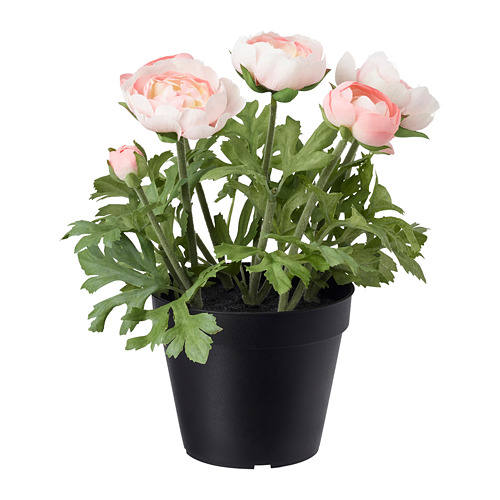 FEJKA - 人造盆栽, 室內/戶外用/毛茛 粉紅色 | IKEA 線上購物 - PE686837_S4
