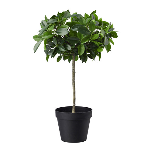 FEJKA artificial potted plant