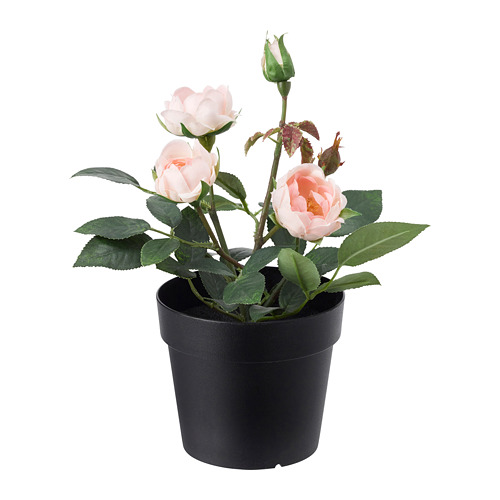 FEJKA - 人造盆栽, 室內/戶外用/迷你玫瑰 粉紅色 | IKEA 線上購物 - PE686803_S4