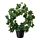 FEJKA - 人造盆栽, 室內/戶外用/常春藤 彎曲 | IKEA 線上購物 - PE686805_S1