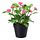 FEJKA - artificial potted plant, in/outdoor/Common daisy pink | IKEA Taiwan Online - PE686807_S1