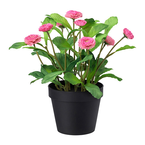 FEJKA - artificial potted plant, in/outdoor/Common daisy pink | IKEA Taiwan Online - PE686807_S4