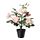 FEJKA - 人造盆栽, 室內/戶外用/迷你玫瑰 粉紅色 | IKEA 線上購物 - PE686811_S1