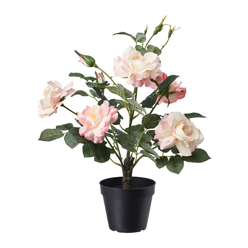 FEJKA - 人造盆栽, 室內/戶外用/迷你玫瑰 粉紅色, 12 公分 | IKEA 線上購物 - PE686811_S4