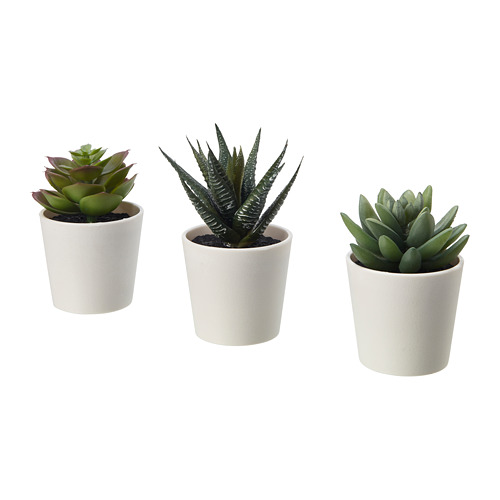 FEJKA - 人造盆栽附花盆, 室內/戶外用 多肉植物, 6 公分 3 件裝 | IKEA 線上購物 - PE686812_S4