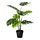 FEJKA - 人造盆栽, 室內/戶外用 龜背芋 | IKEA 線上購物 - PE686822_S1