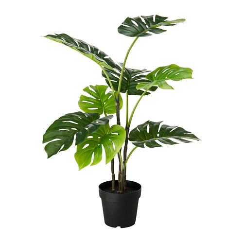 FEJKA - 人造盆栽, 室內/戶外用 龜背芋, 19 公分 | IKEA 線上購物 - PE686822_S4