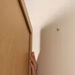 BLODFLÄDER 附框畫