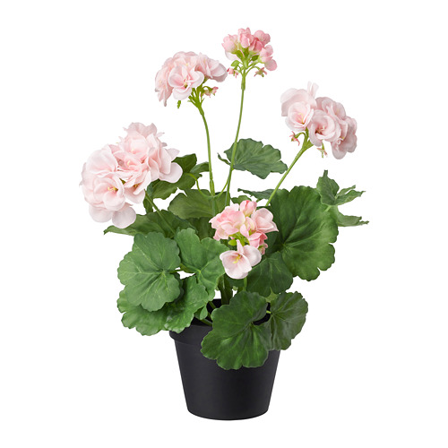 FEJKA - 人造盆栽, 室內/戶外用/天竺葵 粉紅色 | IKEA 線上購物 - PE686831_S4