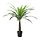 FEJKA - 人造盆栽, 室內/戶外用 棕櫚 | IKEA 線上購物 - PE686833_S1