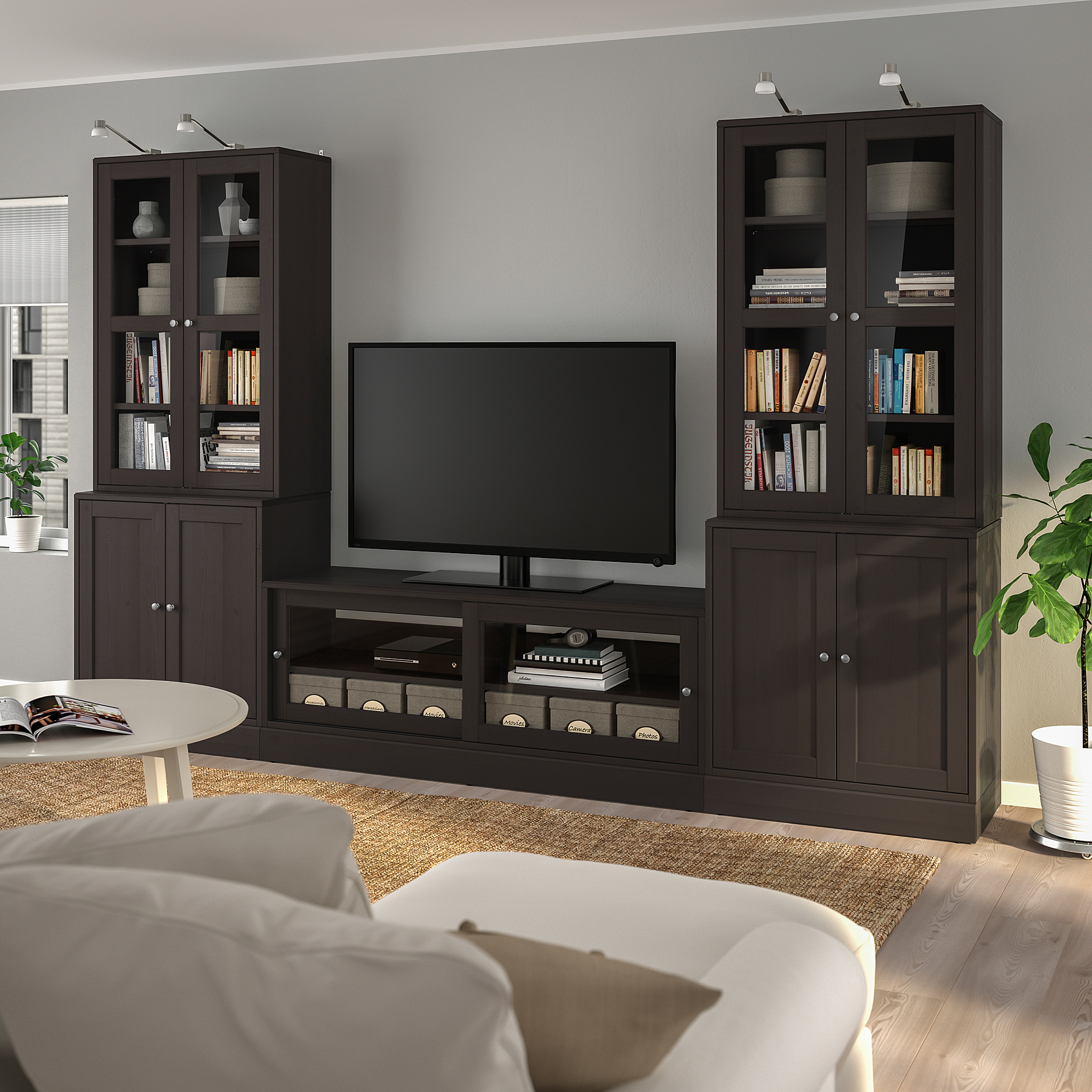 Electric Destul de căpșună HAVSTA - TV storage combination/glass doors, dark brown | IKEA Taiwan Online Electric Destul de căpșună HAVSTA - TV storage combination/glass doors, dark brown | IKEA Taiwan Online