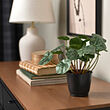 BROKTRAST plant pot