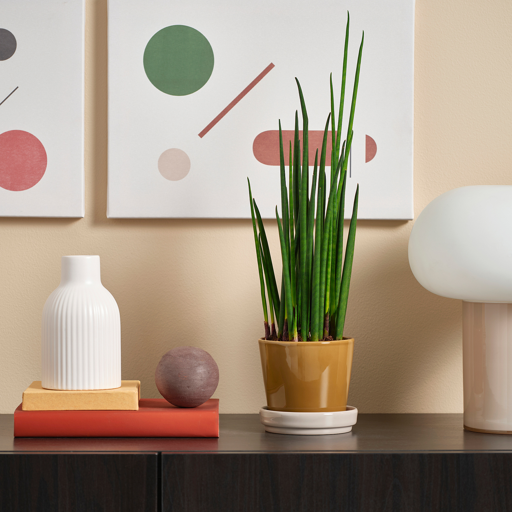 KLOTLÖNN 花盆附底盤