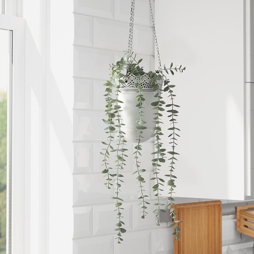 FEJKA - 人造盆栽, 室內/戶外用 眼樹蓮/尤加利木 | IKEA 線上購物 - PE774214_S4