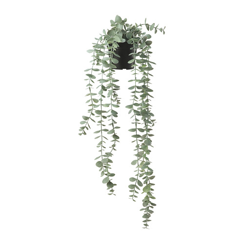 FEJKA - 人造盆栽, 室內/戶外用 眼樹蓮/尤加利木 | IKEA 線上購物 - PE774216_S4