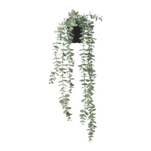 FEJKA - 人造盆栽, 室內/戶外用 眼樹蓮/尤加利木, 9 公分 | IKEA 線上購物 - PE774216_S4