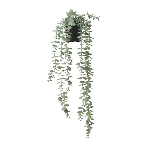 FEJKA - artificial potted plant, in/outdoor hanging/eucalyptus, 9 cm | IKEA Taiwan Online - PE774216_S4