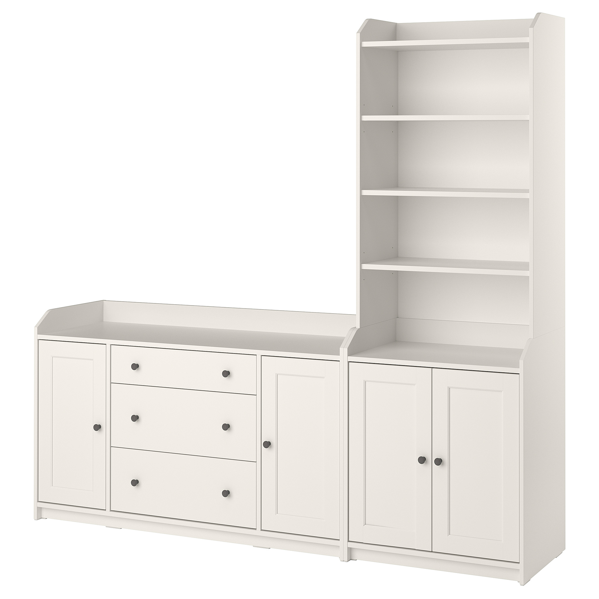 HAUGA storage combination