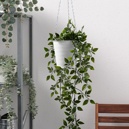 CASHEWÄPPLE hanging planter