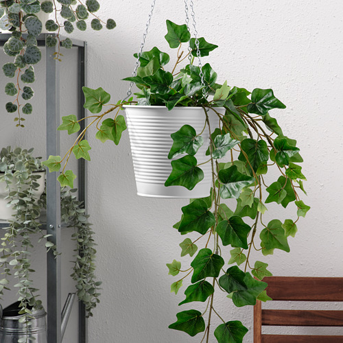 CASHEWÄPPLE - 懸吊式花盆, 室內/戶外用 白色 | IKEA 線上購物 - PE789467_S4