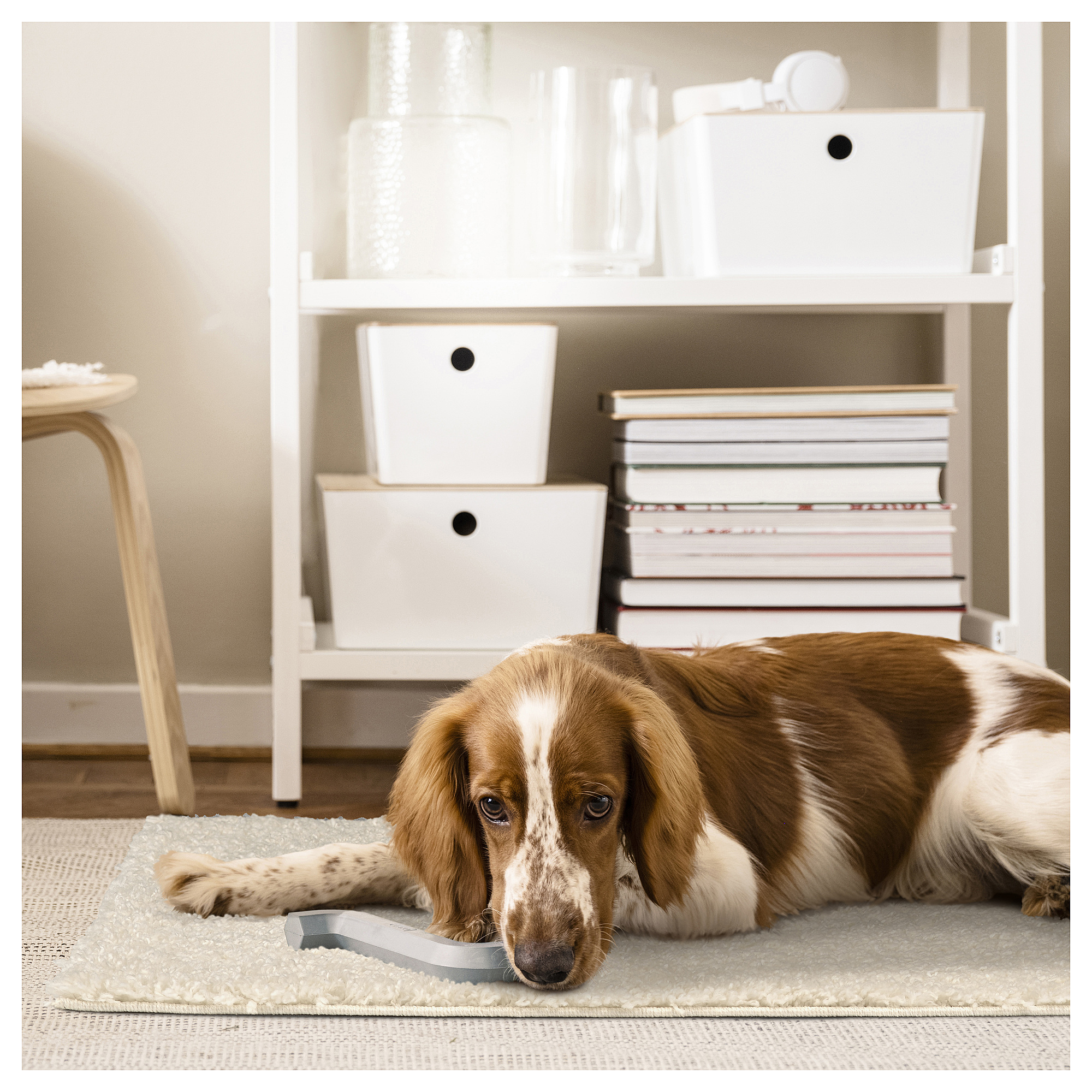 ÄRENDE 長毛地毯