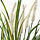 FEJKA - 人造盆栽, 室內/戶外用 裝飾/青草 | IKEA 線上購物 - PE732957_S1