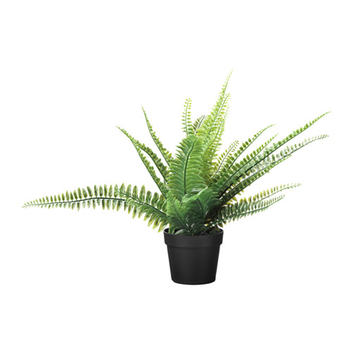 FEJKA - 人造盆栽, 室內/戶外用 羊齒/波士頓蕨, 9 公分 | IKEA 線上購物 - PE643398_S4