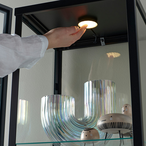 BLÅLIDEN/STRIMSÄV glass-door cabinet with lighting