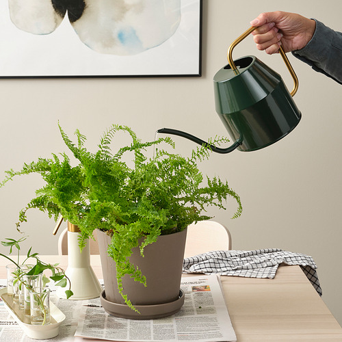 VATTENKRASSE - watering can, black-green/gold-colour, 2.0 l | IKEA Taiwan Online - PE915654_S4