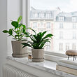 KLOTLÖNN plant pot with saucer