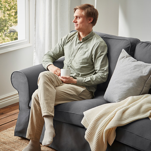 EKTORP - 3-seat sofa, Hallarp grey | IKEA Taiwan Online - PE790147_S4