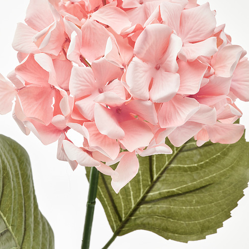 SMYCKA - 人造花, 室內/戶外用/繡球花 粉紅色 | IKEA 線上購物 - PE836353_S4