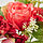 SMYCKA - 人造花束, 室內/戶外用 粉紅色/紅色 | IKEA 線上購物 - PE836356_S1